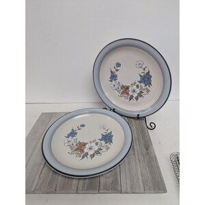Vintage Johann Haviland Blue Bouquet Crowning Fashion Dinner Plates Set of 2